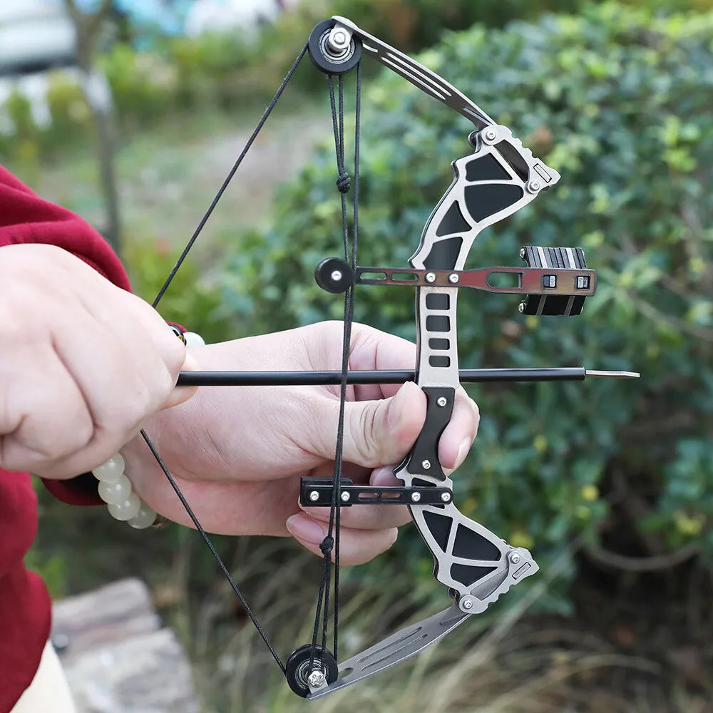 Mini Compound Bow Set 12lb With 12 Arrows For Target Practice