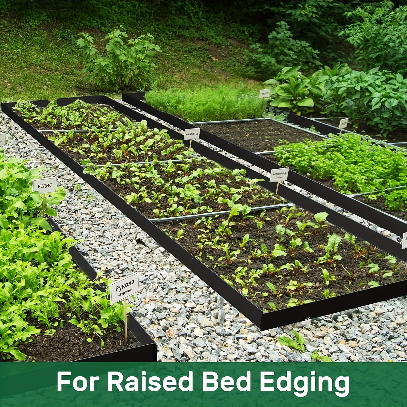Landscape Edging Kit for Easy Garden and Pathway Installation - Parry's Picks