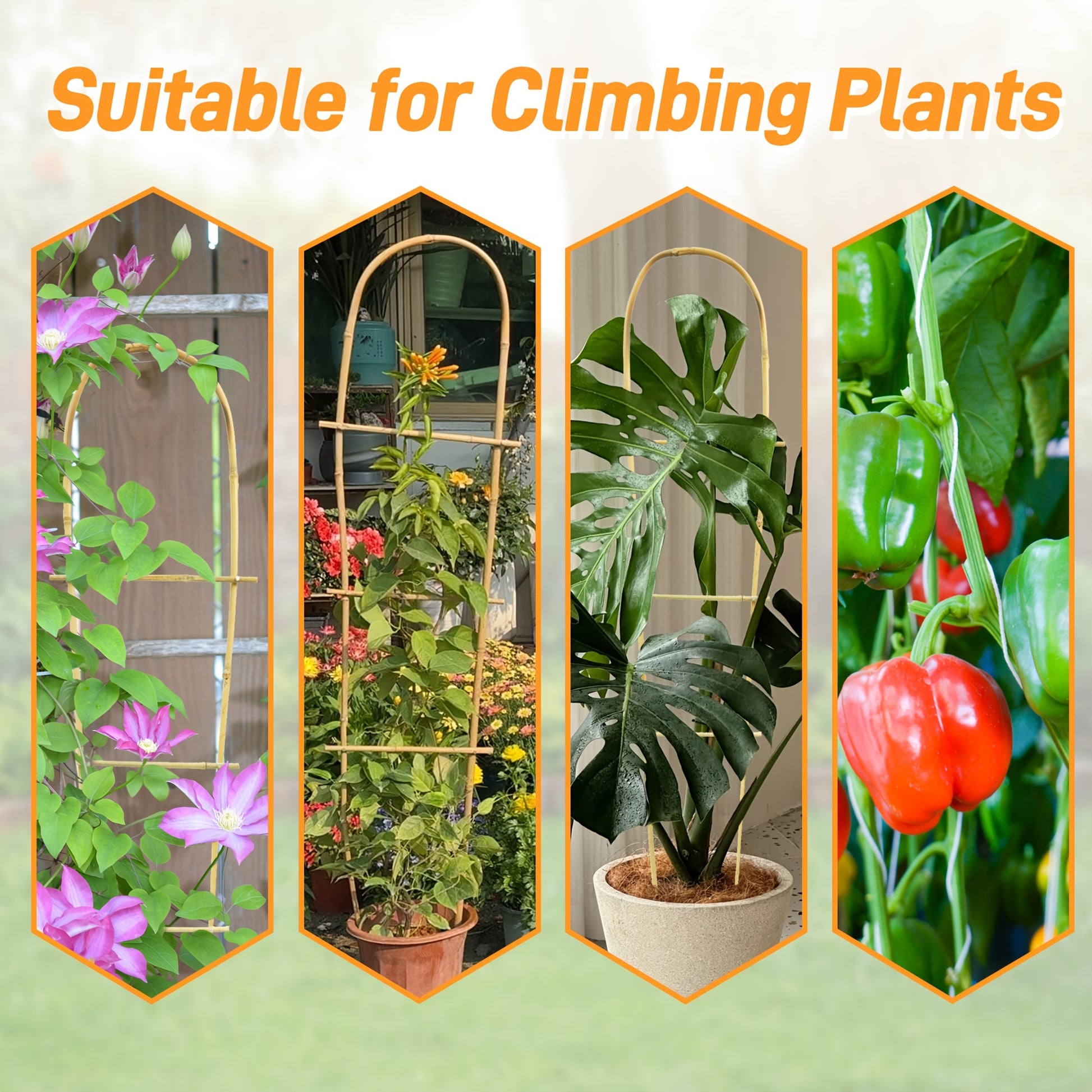 Bamboo U Trellis for Climbing Plants and Indoor Houseplants - Parry's Picks