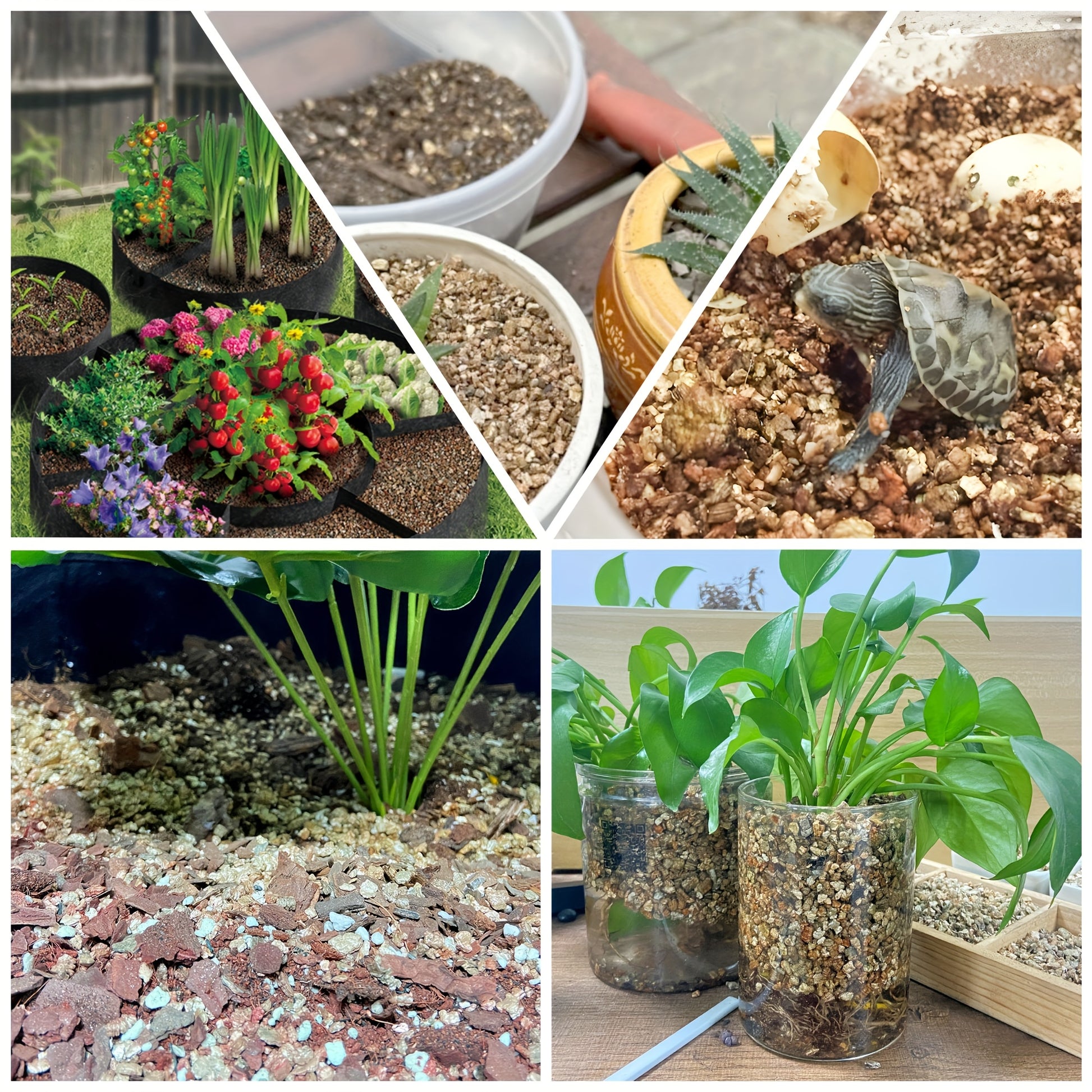 Coarse Horticultural Vermiculite for Potted Plants and Gardening - Parry's Picks