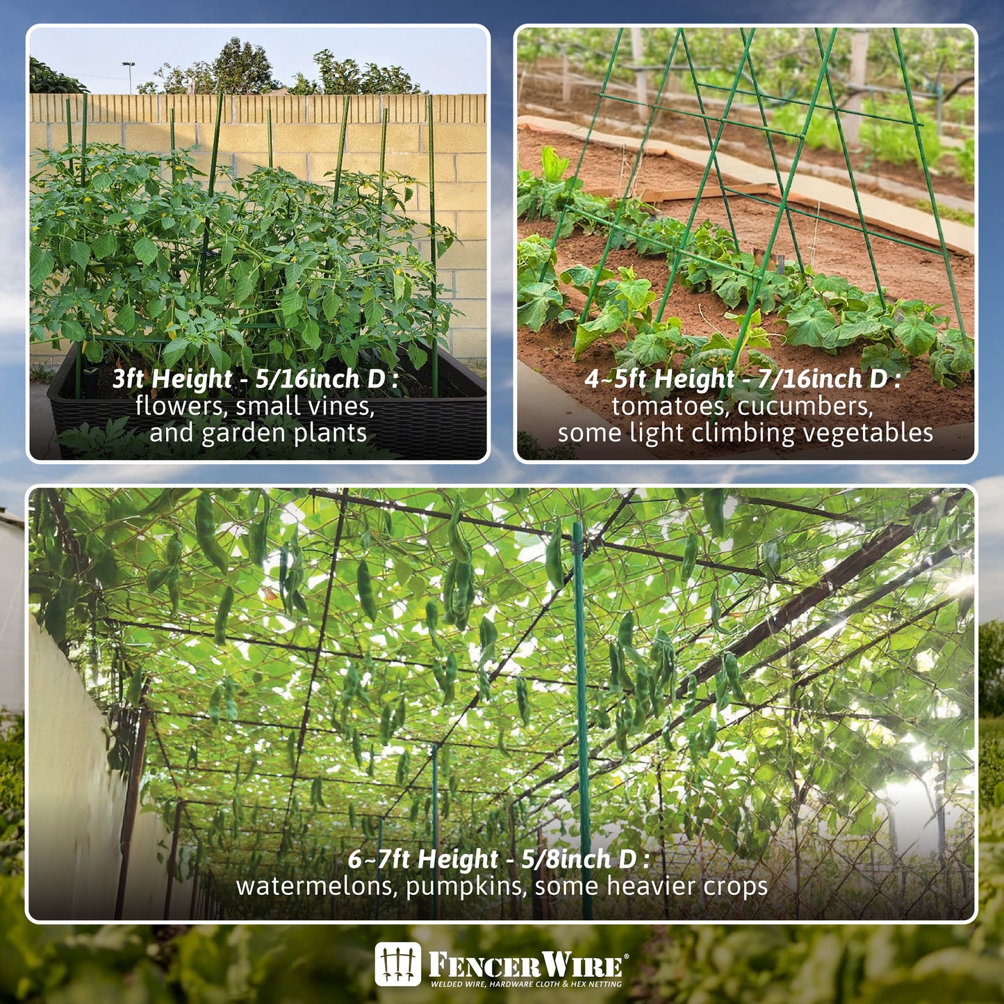 Durable Metal Plant Supports for Garden and Potted Plants - Parry's Picks