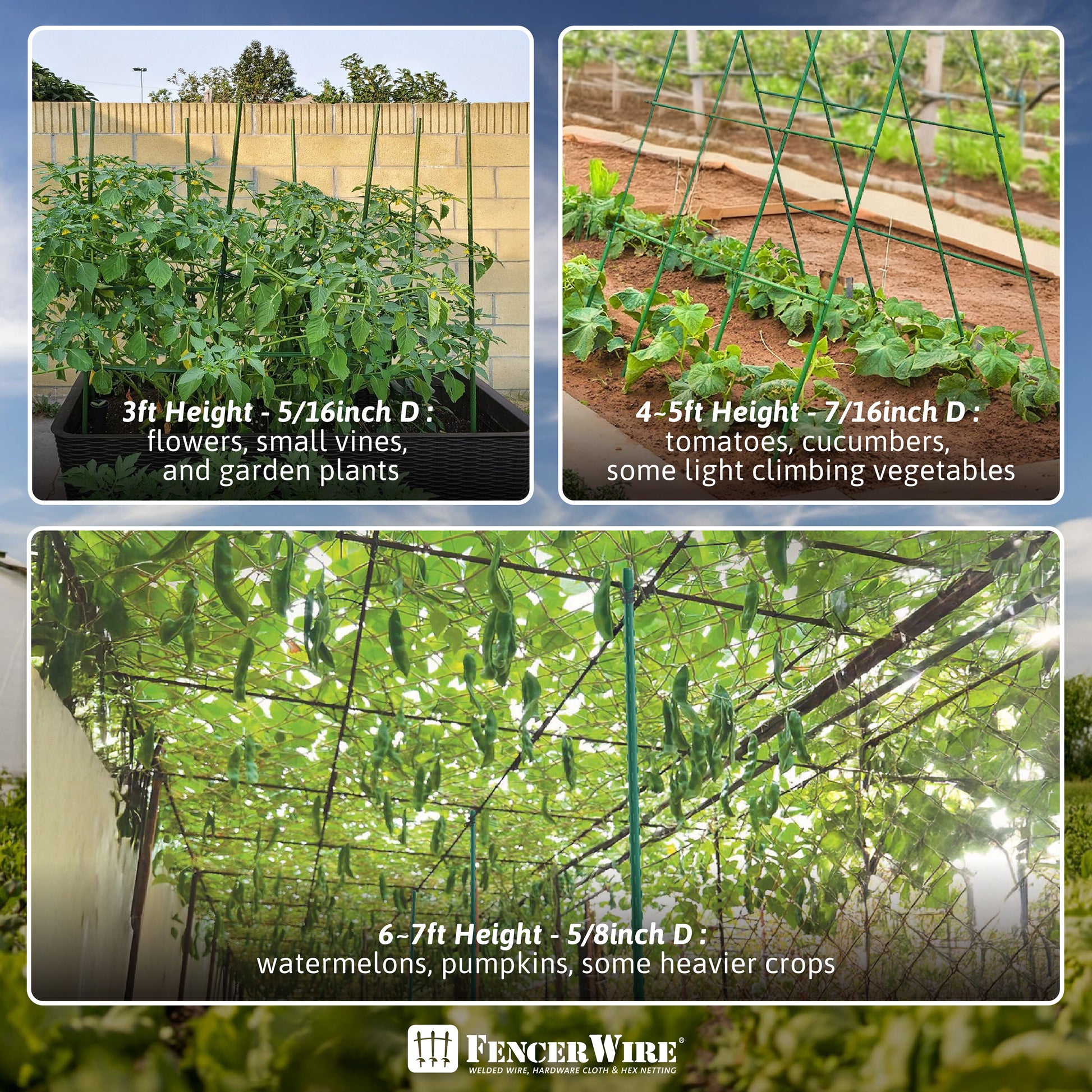 Durable Metal Plant Supports for Garden and Potted Plants - Parry's Picks
