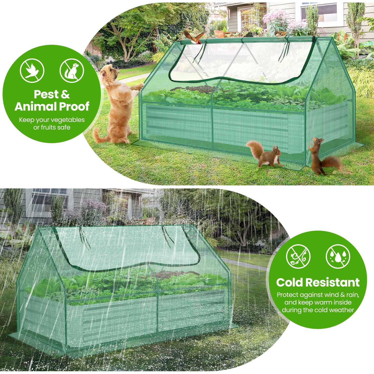 Galvanized Raised Garden Bed With Cover And Greenhouse Kit
