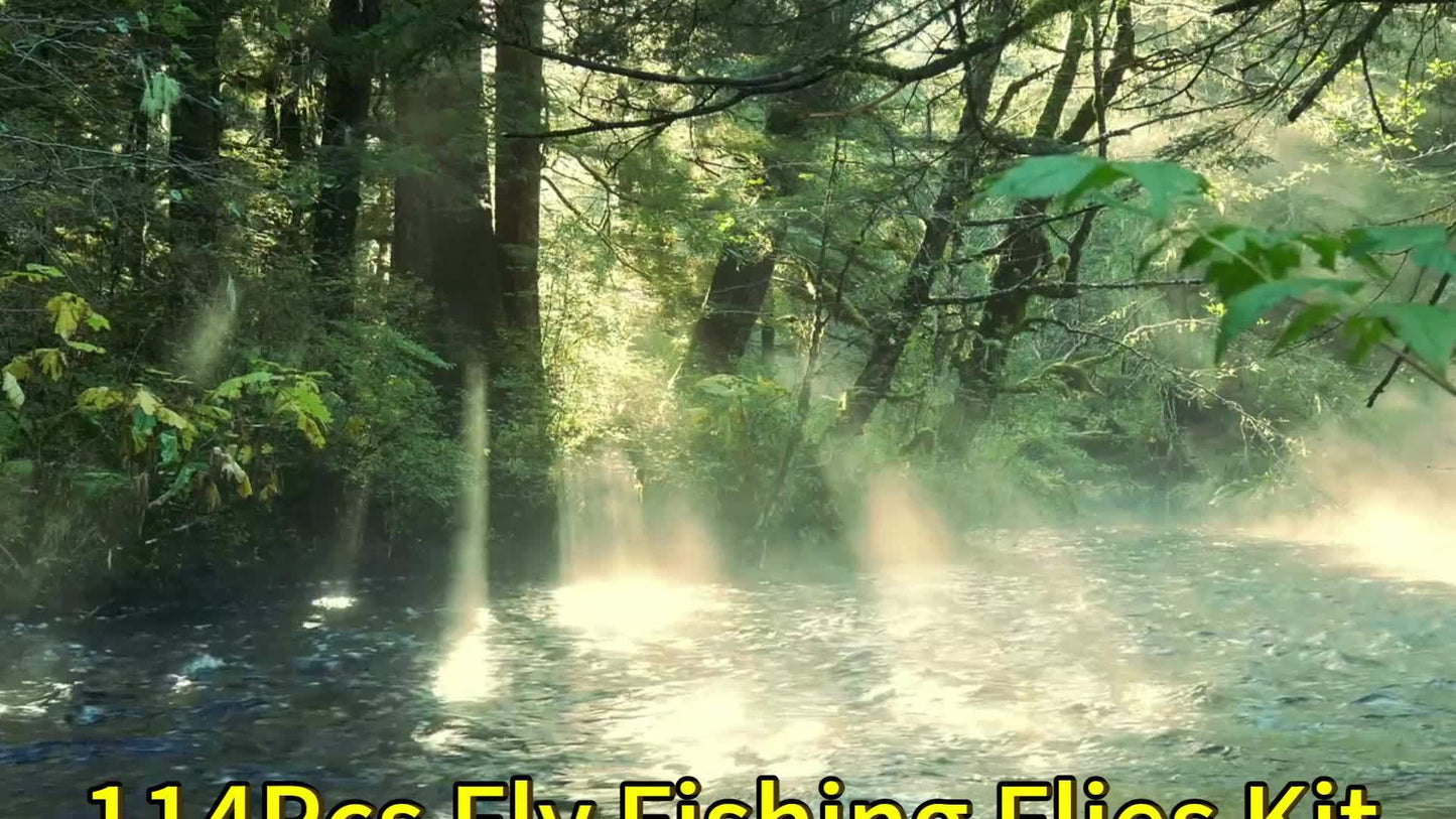 QIEVCRME Fly Lure Kit 114 Pcs Dry Wet Flies for Trout