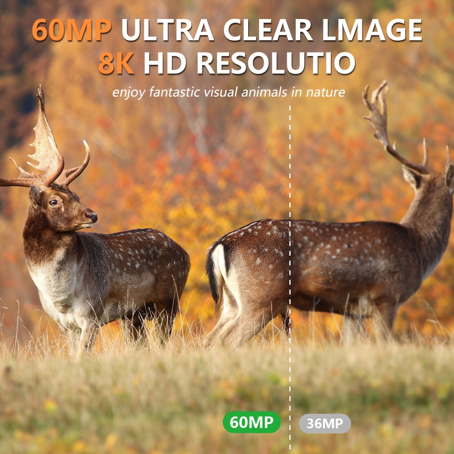 Lantoocam 8K WiFi Hunting Trail Camera 48MP Night Vision - Parry's Picks