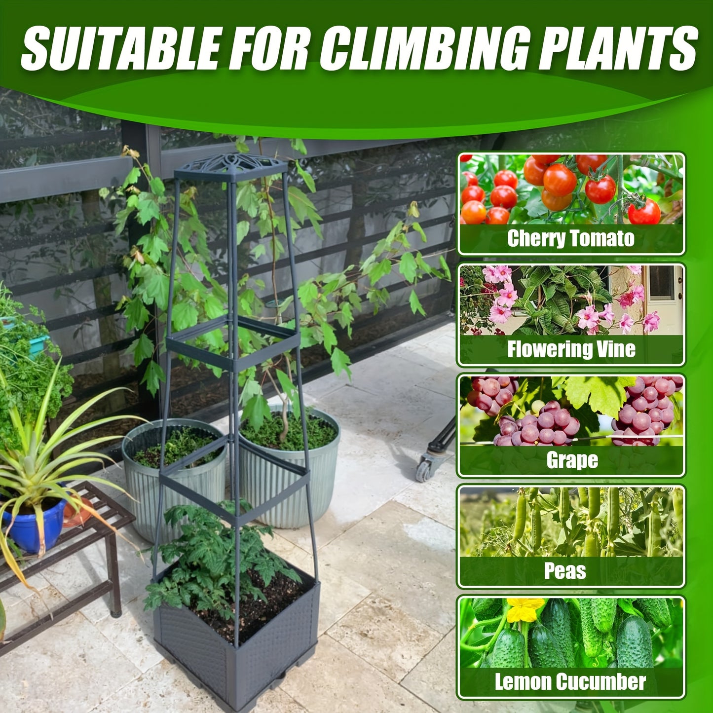 Tomato Planting Box with Self-Watering Cage for Climbing Plants - Parry's Picks