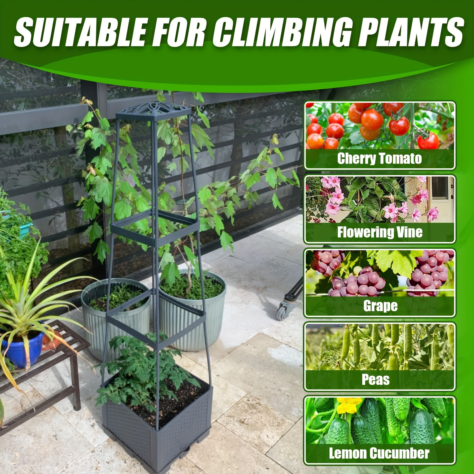 Tomato Planting Box with Self-Watering Cage for Climbing Plants - Parry's Picks