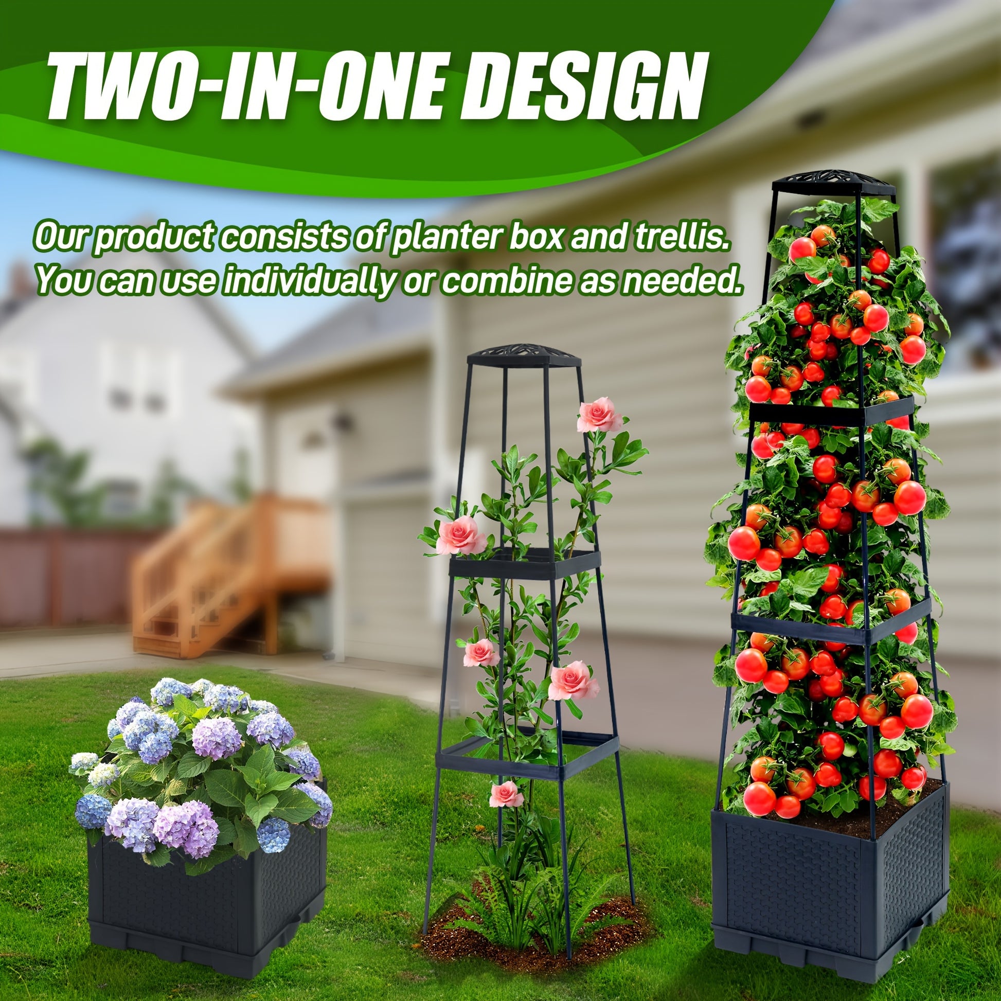 Tomato Planting Box with Self-Watering Cage for Climbing Plants - Parry's Picks