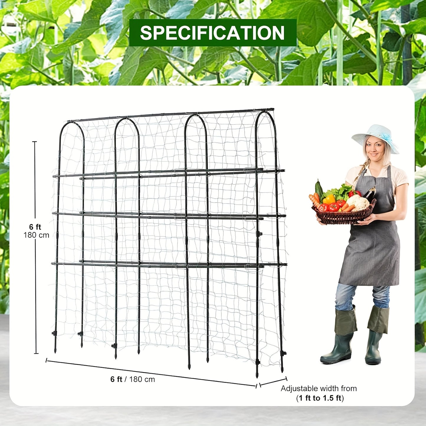 Garden Arch Trellis for Climbing Plants and Vines - Parry's Picks