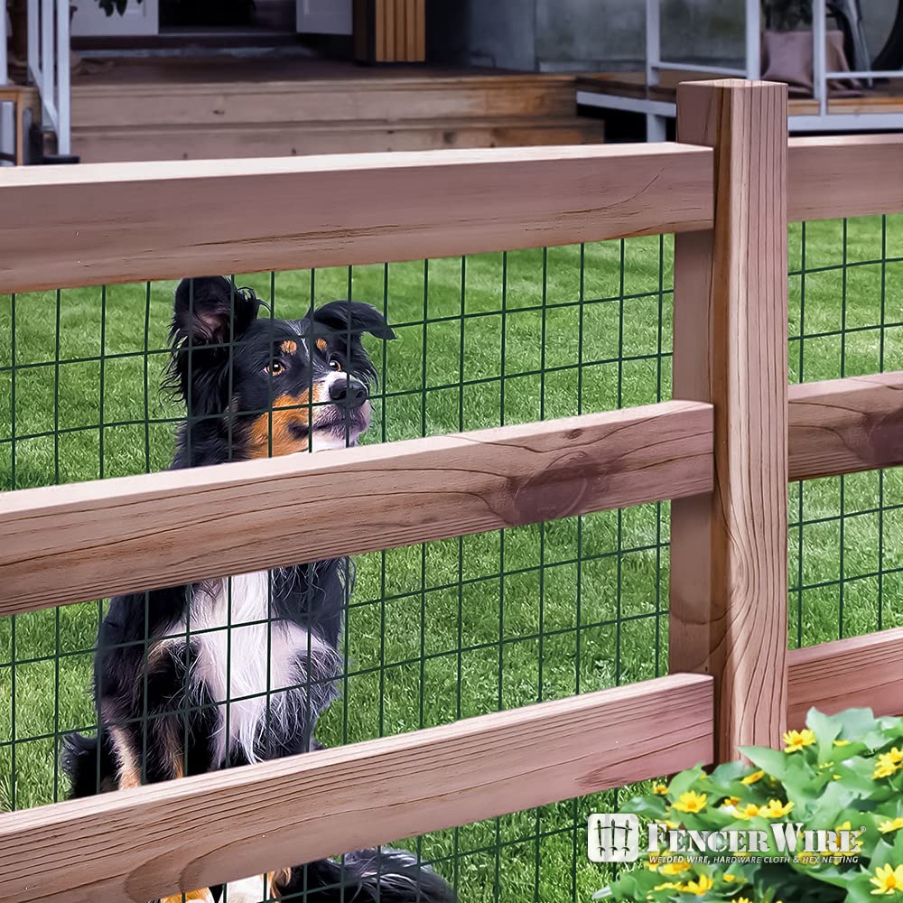 Vinyl Coated Welded Wire Mesh for Durable Fencing Solutions - Parry's Picks