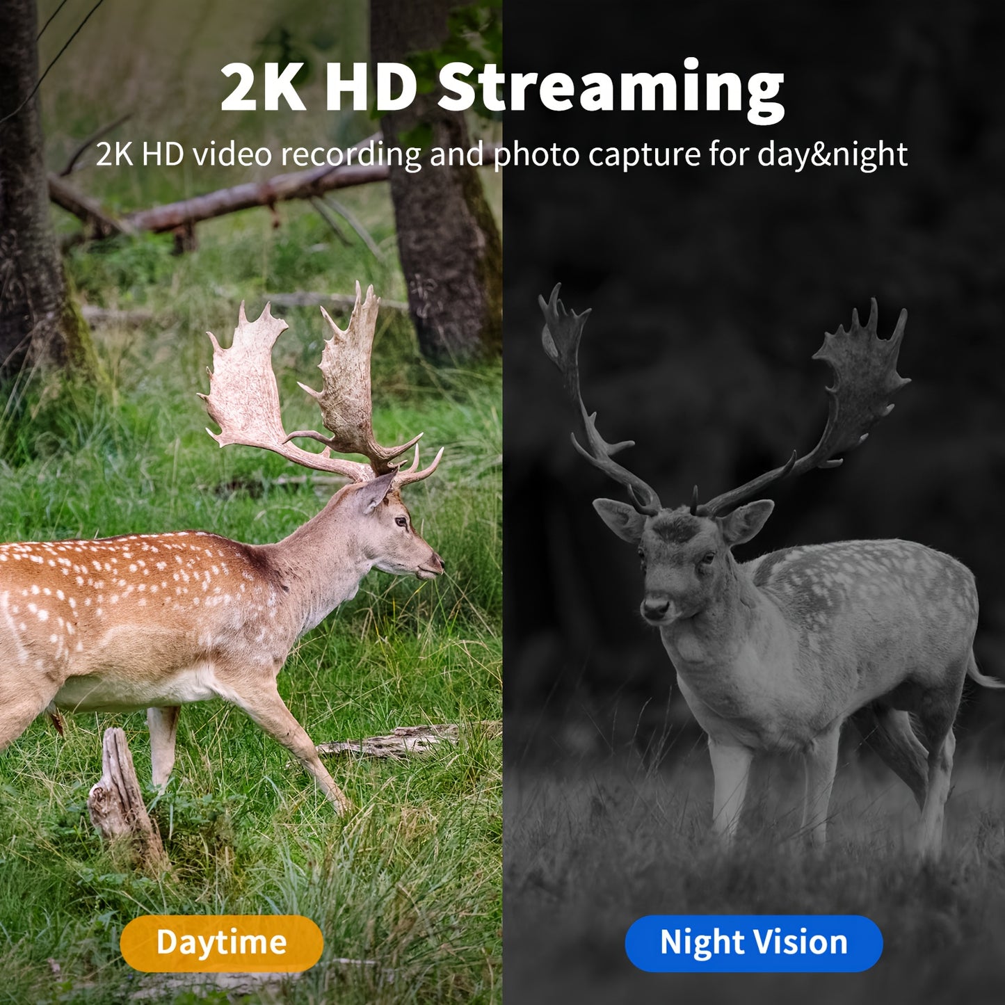 SEHMUA Solar Deer Hunting Camera 360 View 4G Night Vision