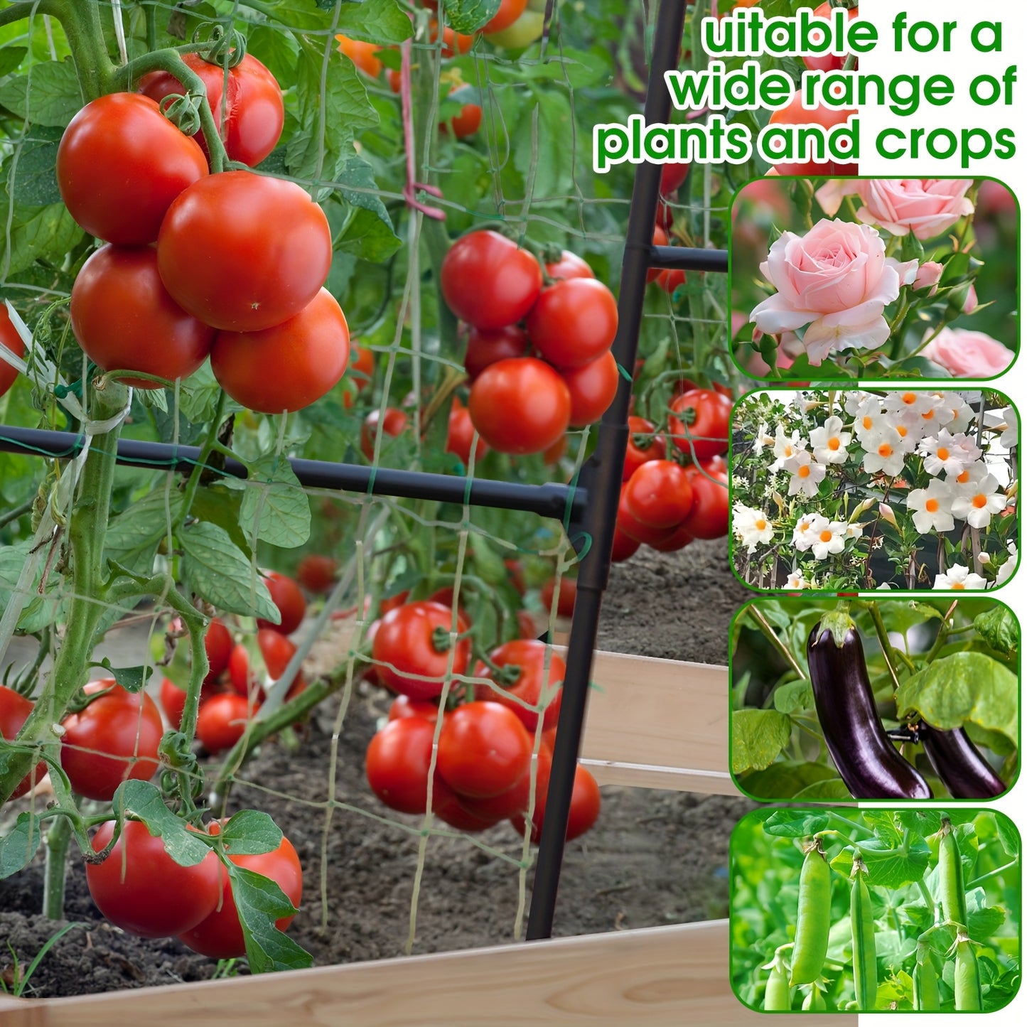 Garden Arch Trellis for Climbing Plants and Vines - Parry's Picks