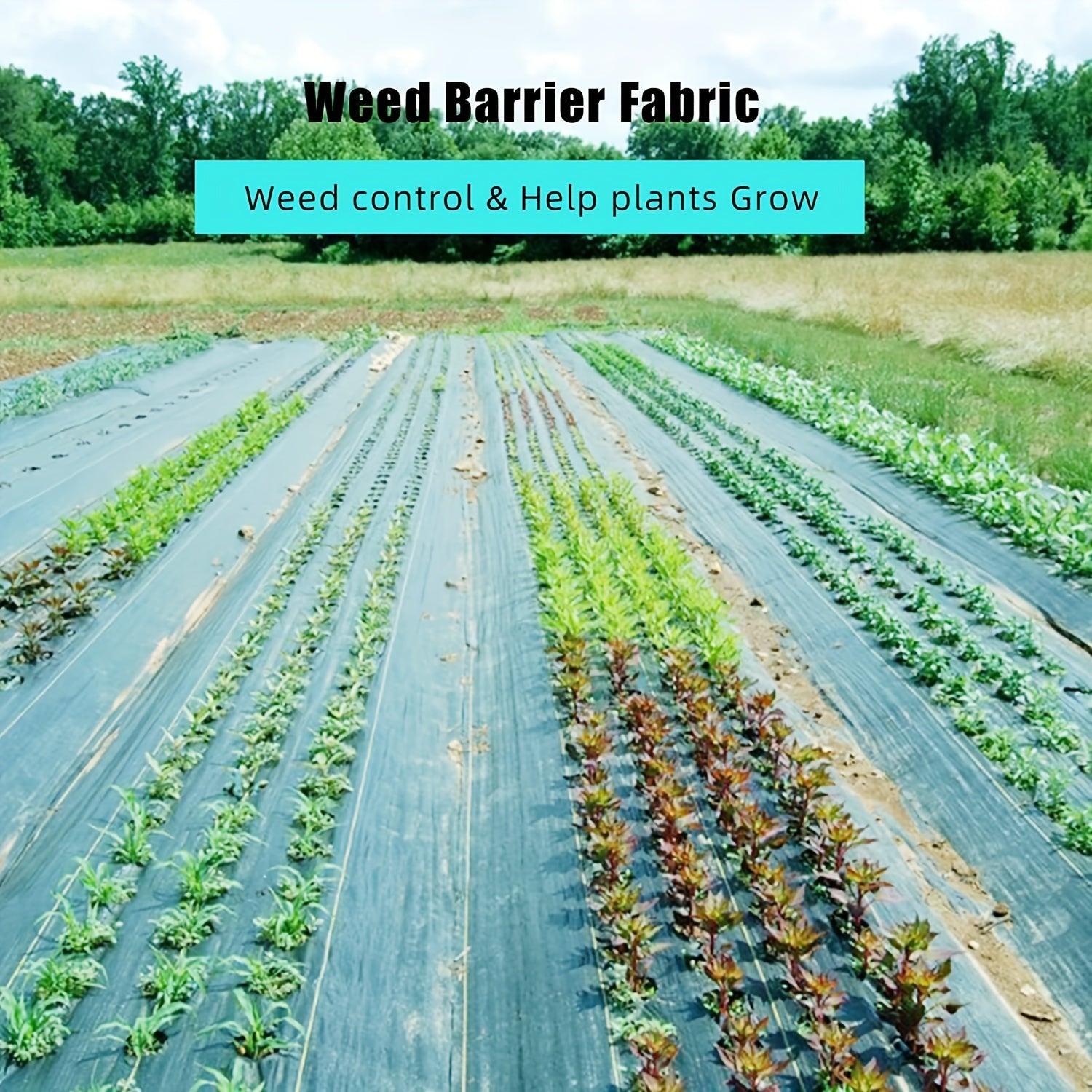 Premium Weed Barrier Landscape Fabric for Effective Weed Control - Parry's Picks