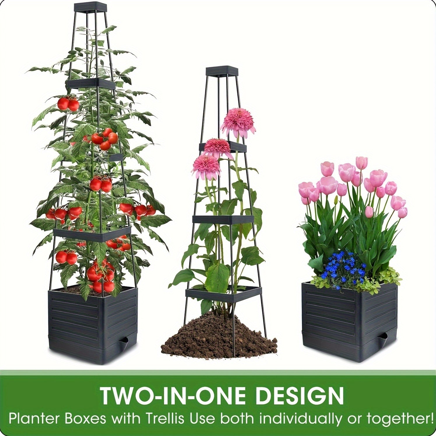 Tomato Planter with Trellis for Climbing Vegetables Gardens - Parry's Picks