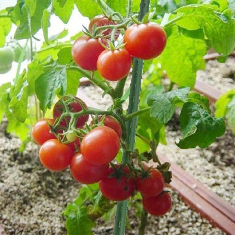 Sturdy Metal Garden Stakes for Plant Support and Stability - Parry's Picks