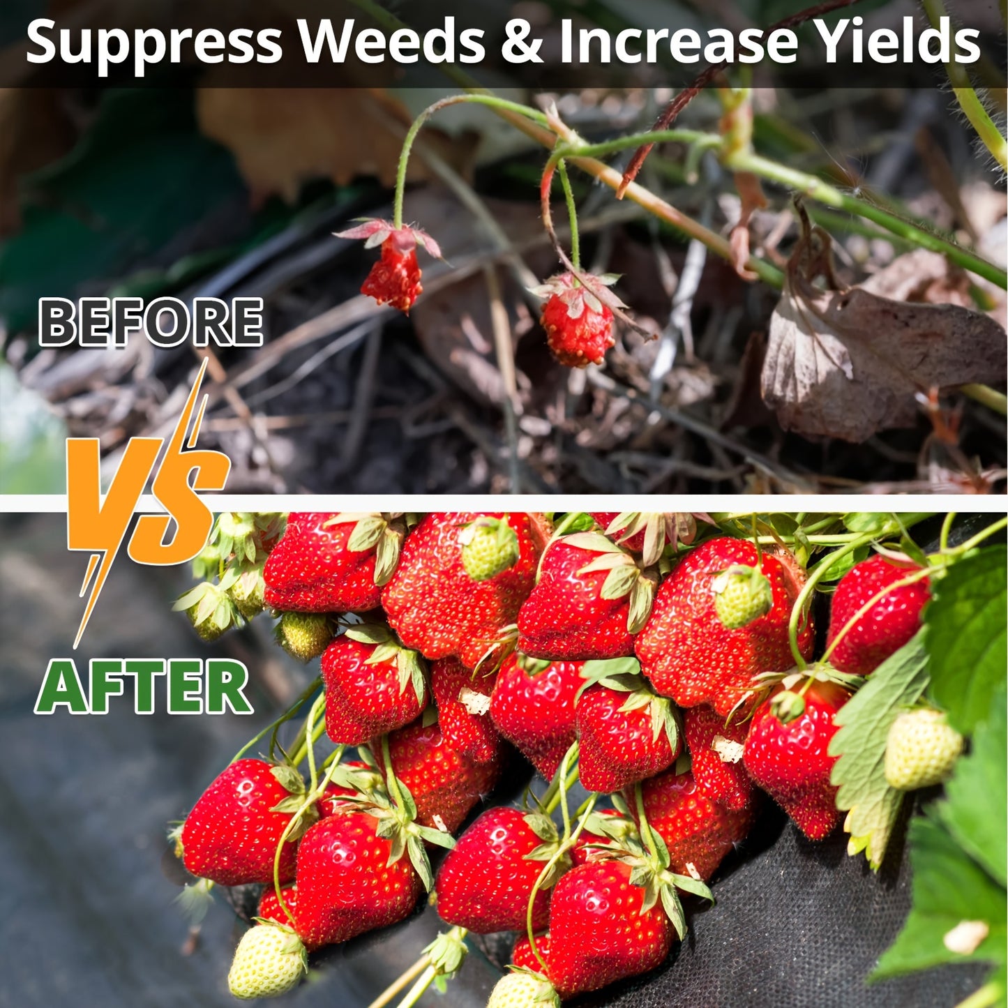 Premium Weed Barrier Landscape Fabric for Effective Garden Control - Parry's Picks