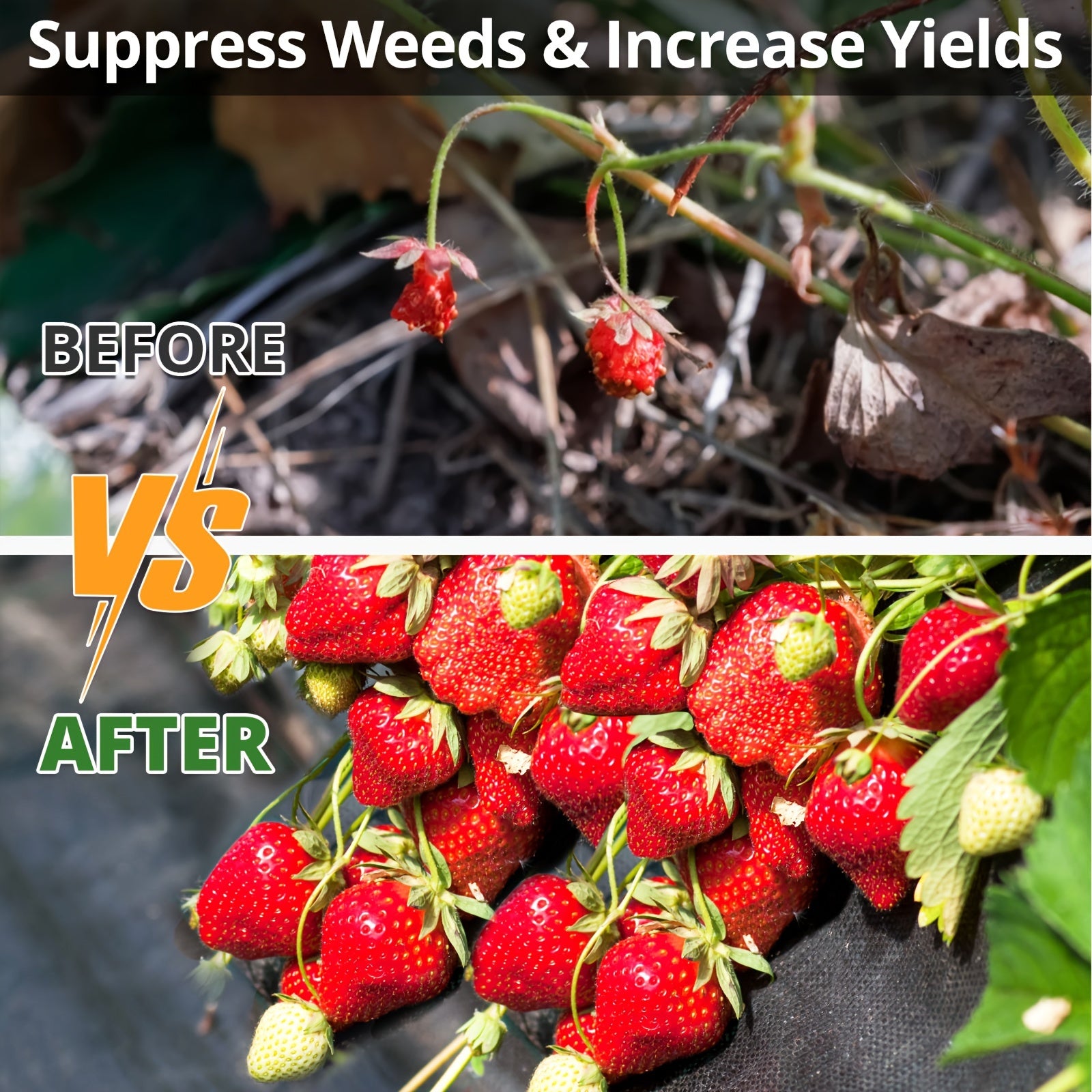 Premium Weed Barrier Landscape Fabric for Effective Garden Control - Parry's Picks