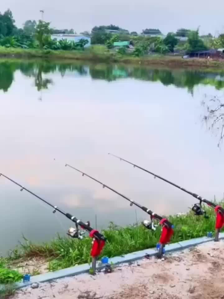 Automatic Stainless Fishing Rod Holder for Ground Brackets