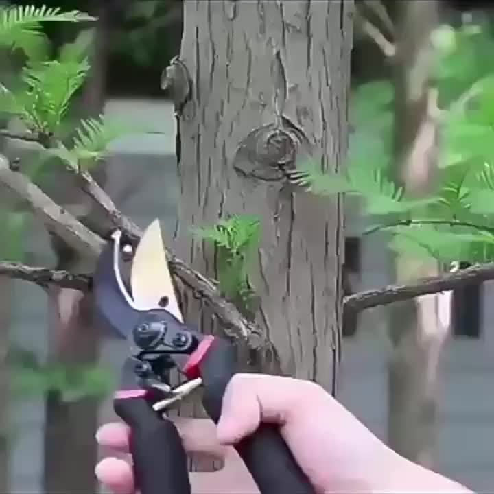 Advanced Bypass Pruning Shears for Effortless Garden Maintenance - Parry's Picks