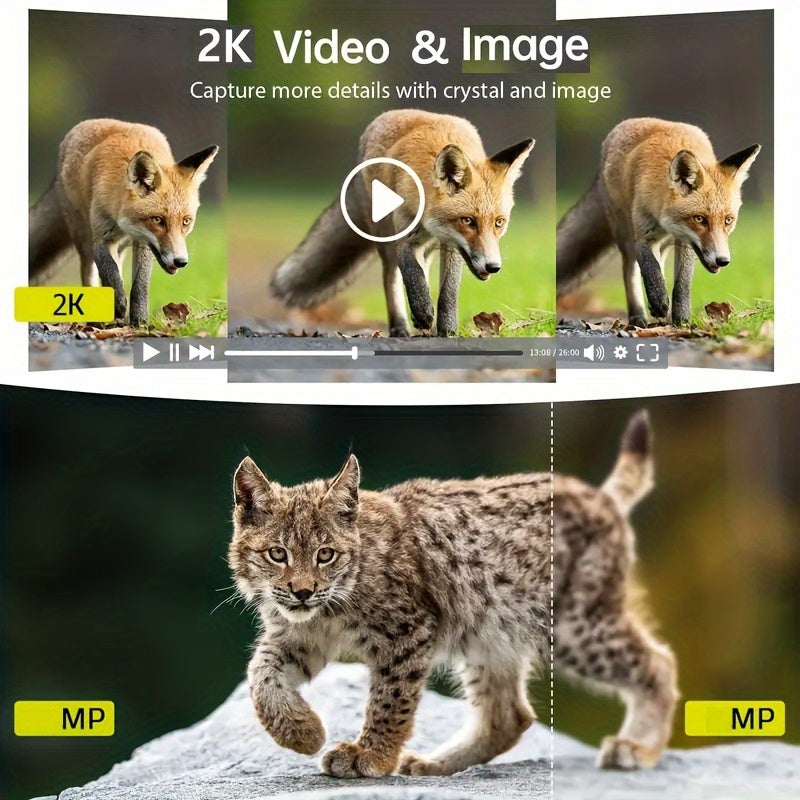 CXK 3 Pack Cellular Trail Cameras with Live View NightVision - Parry's Picks