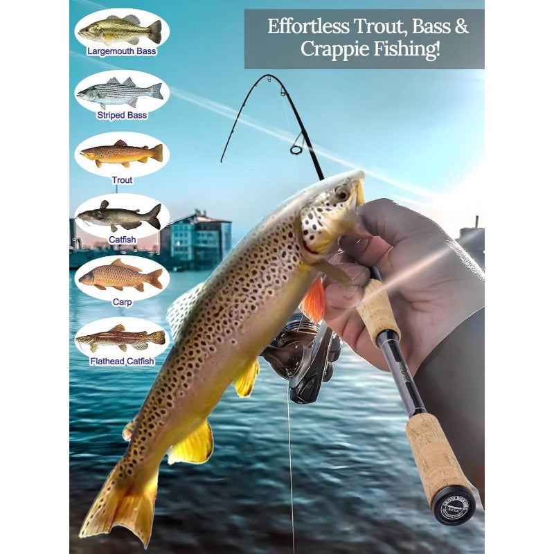 Spinning Carbon Fiber 2 Piece Rod Ultra Fast Action