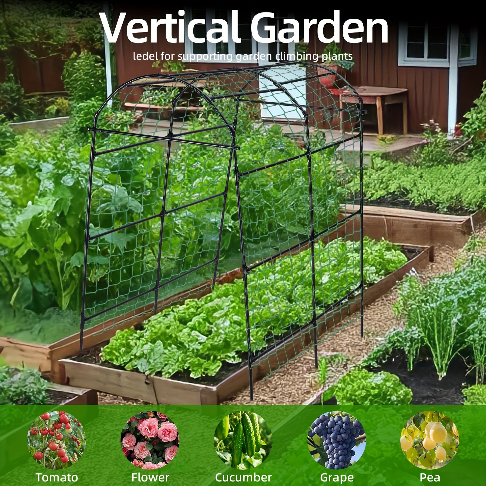 Stainless Steel Climbing Vine Trellis for Elegant Garden Elevation - Parry's Picks